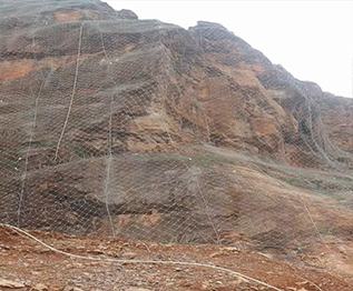SNS���Ա���������