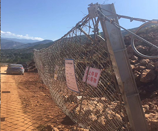 SNS���Ա���������